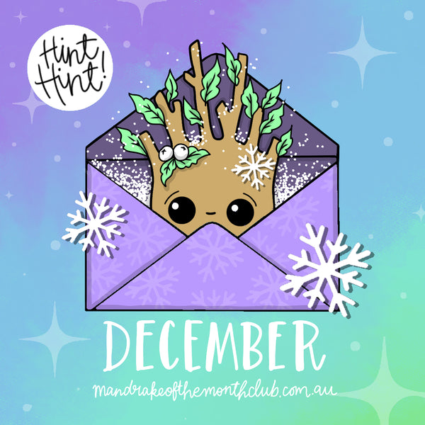 Monthly Box December 2020 | Winter Wonderland