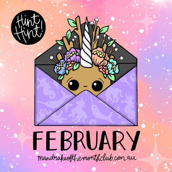 Monthly Box February 2021 | Unicorns